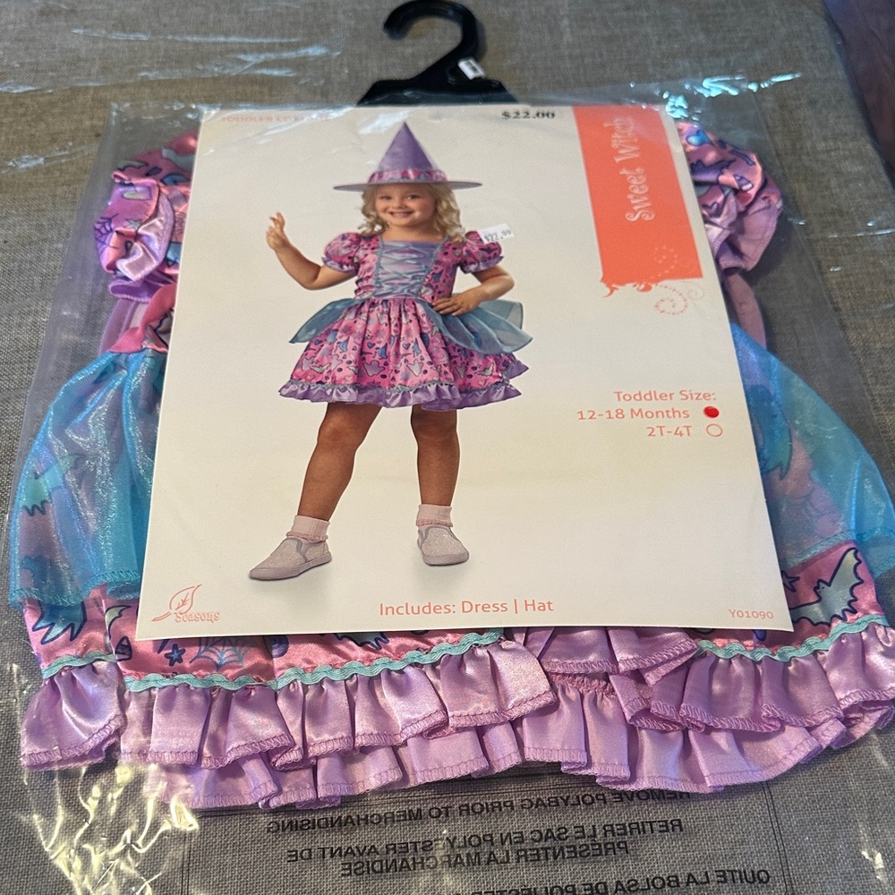Pink and Blue Sweet Witch Costume
